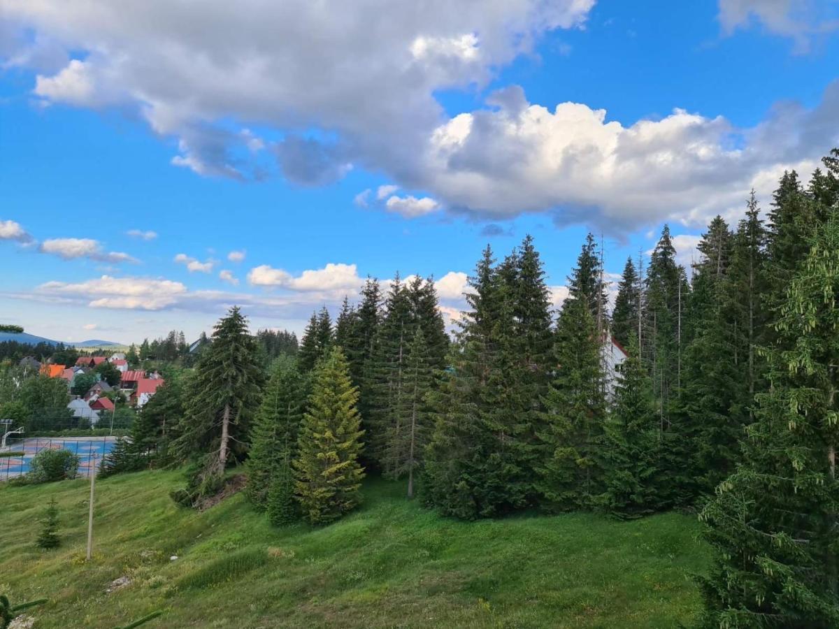 Turisticki Apartmani “Kraljeva Stolica” Žabljak Extérieur photo